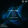 Roberto Traista - Mission Critical - Single